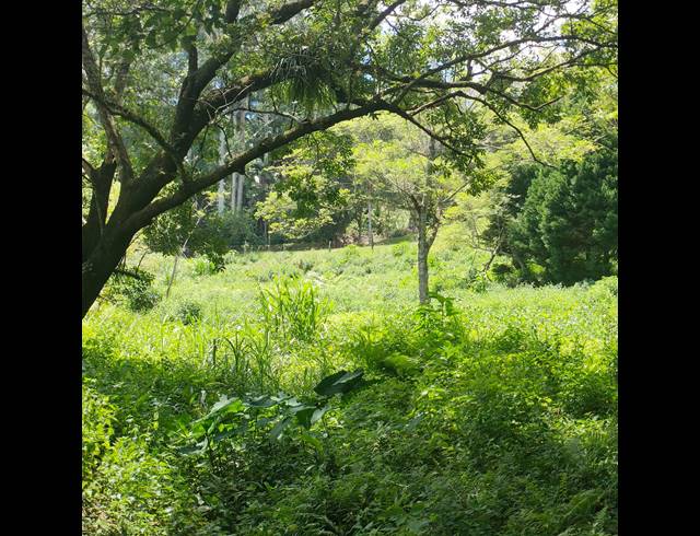 6,000M² VACANT LAND FOR SALE IN CLIFTON PARK
